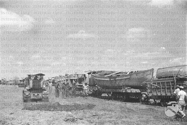 AO/AO099/AO00006656.JPG