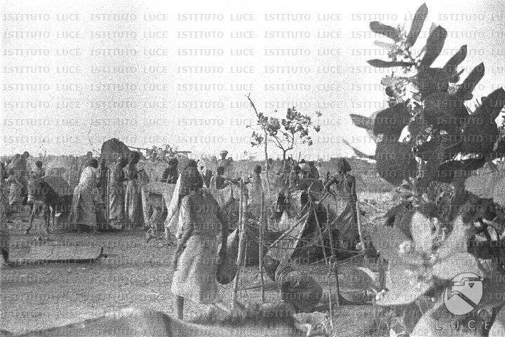 AO/AO100/AO00006696.JPG