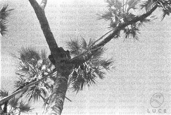 AO/AO101/AO00006795.JPG