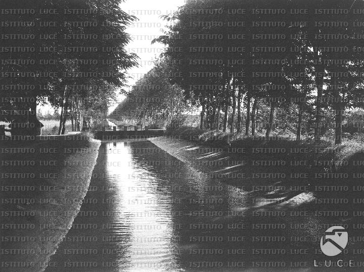 AO/AO102/AO00006861.JPG
