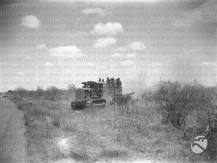 AO/AO102/AO00006864B.JPG
