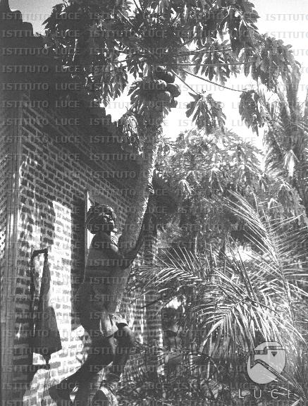 AO/AO102/AO00006869.JPG