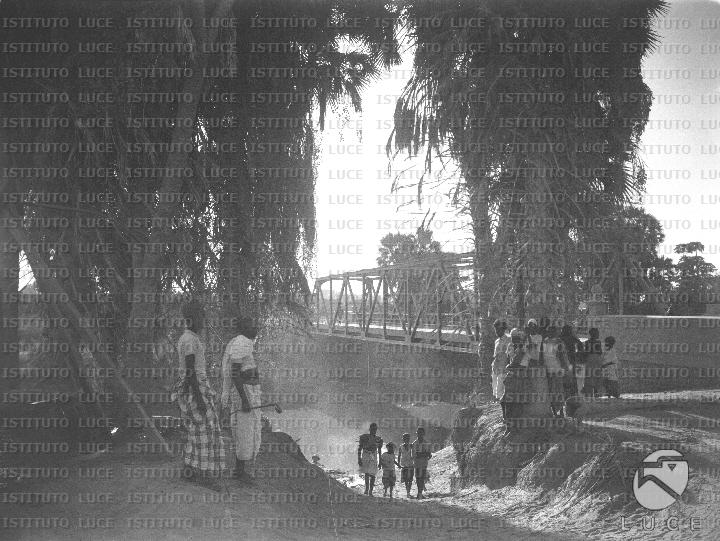 AO/AO103/AO00006875B.JPG