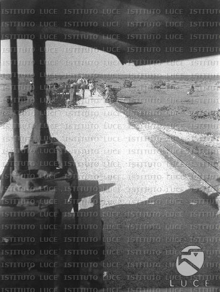 AO/AO103/AO00006879B.JPG