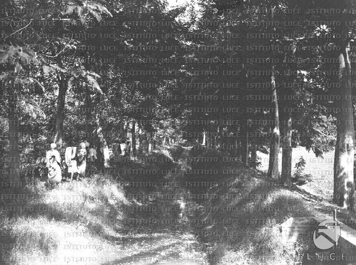 AO/AO103/AO00006884.JPG