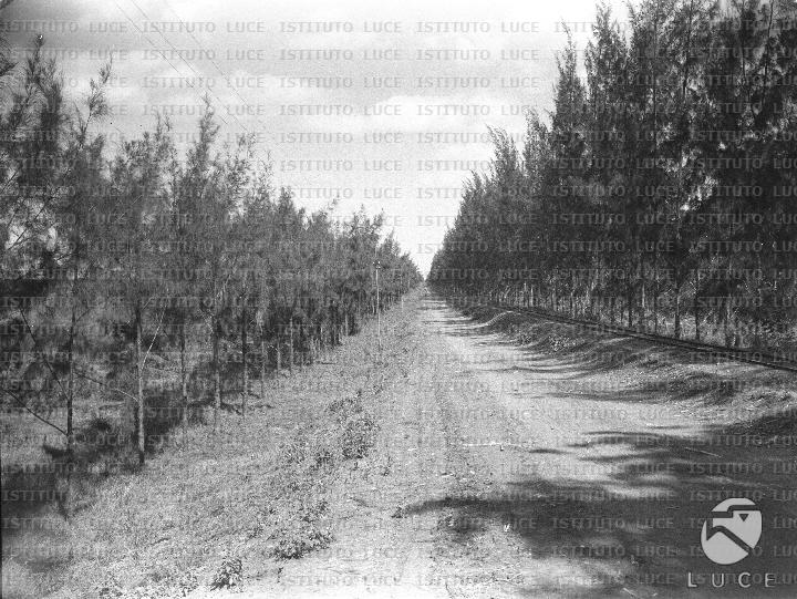 AO/AO103/AO00006897.JPG