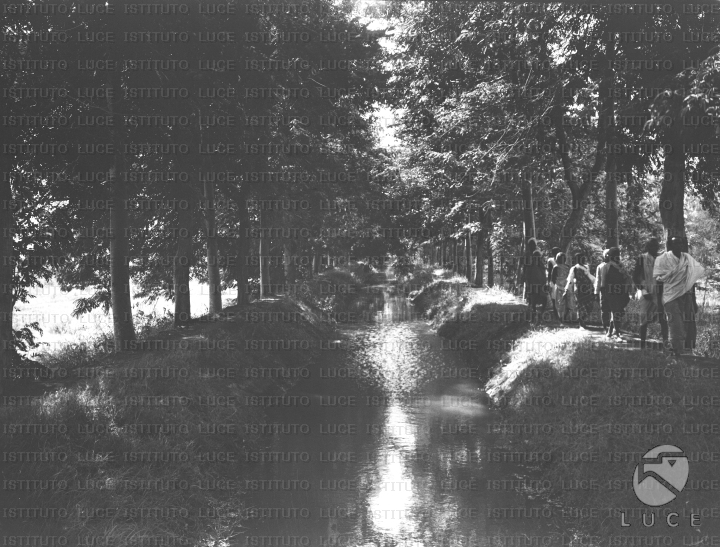 AO/AO104/AO00006941.JPG