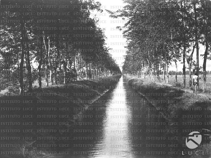 AO/AO104/AO00006945.JPG