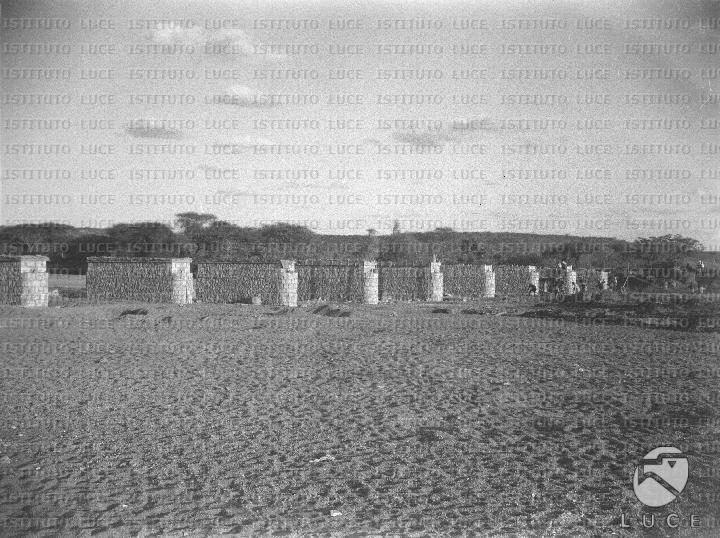 AO/AO105/AO00007018.JPG