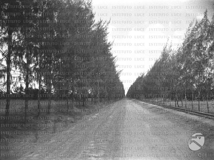 AO/AO105/AO00007023.JPG