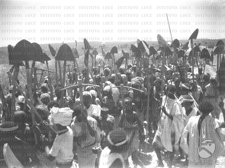 AO/AO109/AO00007274B.JPG