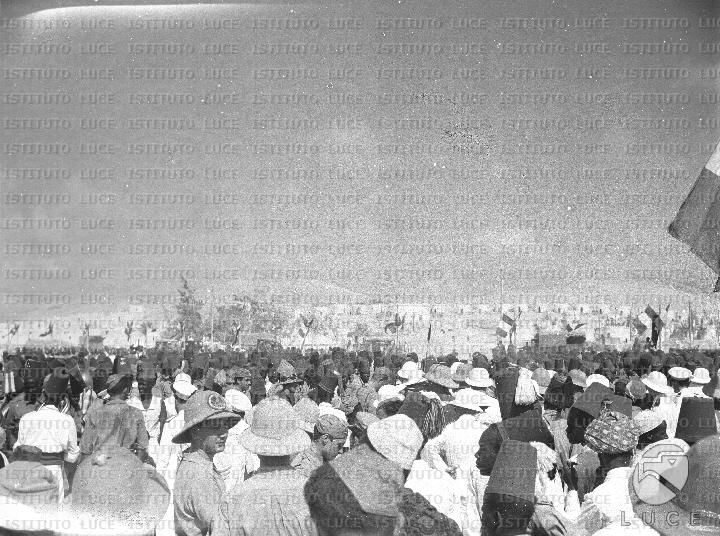 AO/AO109/AO00007312.JPG