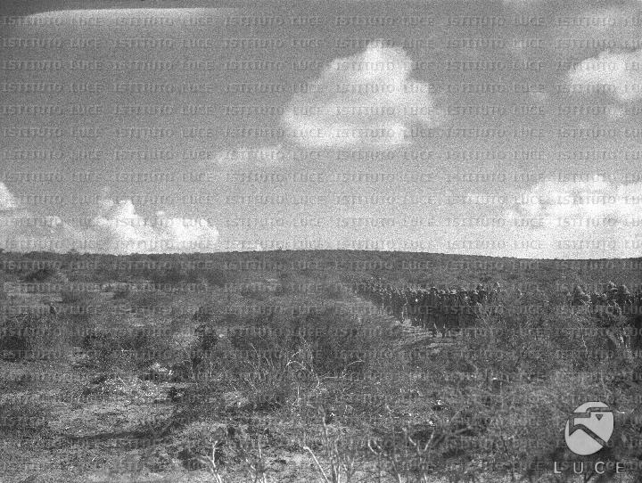 AO/AO111/AO00007409.JPG