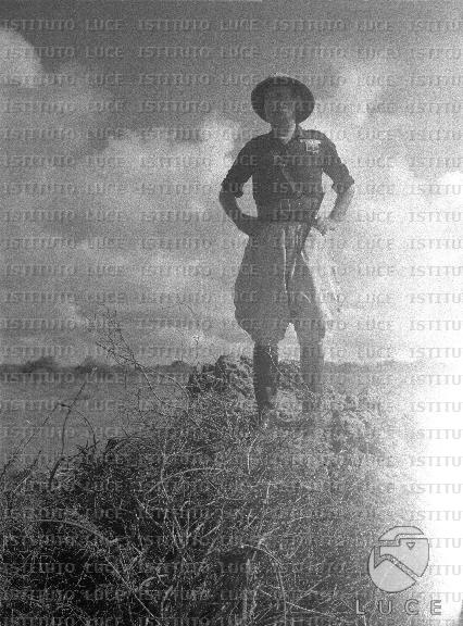 AO/AO111/AO00007411.JPG