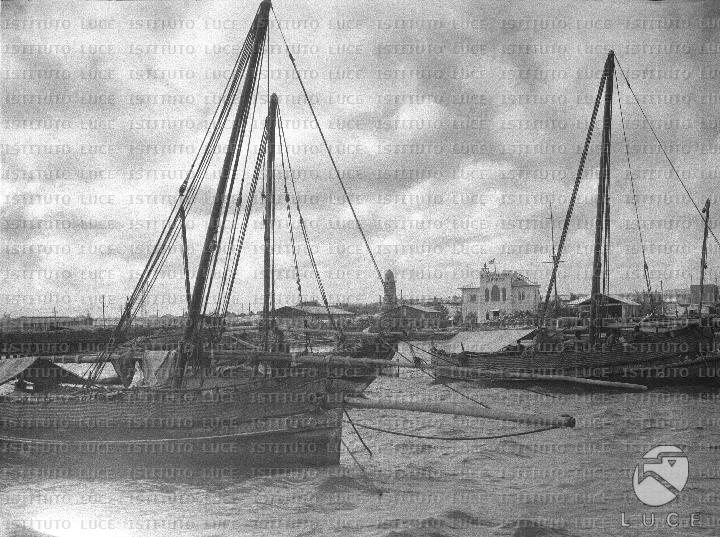 AO/AO111/AO00007443.JPG