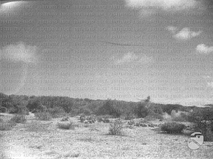 AO/AO112/AO00007475.JPG