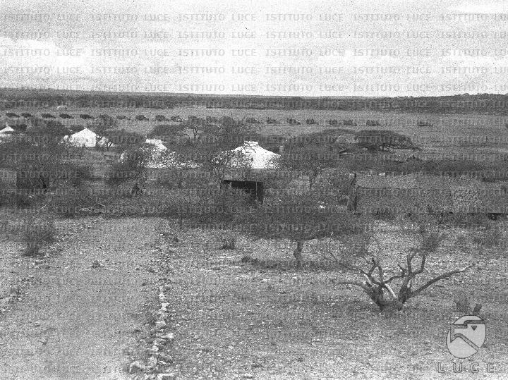 AO/AO113/AO00007580.JPG