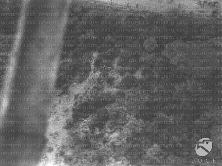 AO/AO114/AO00007616.JPG