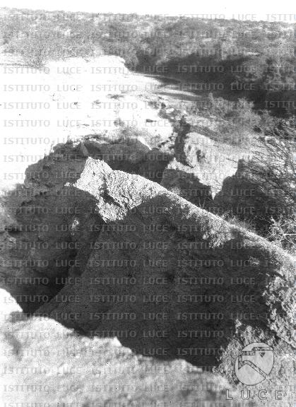 AO/AO115/AO00007711.JPG