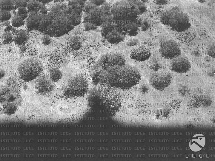AO/AO115/AO00007713.JPG