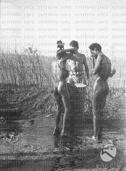AO/AO115/AO00007734.JPG