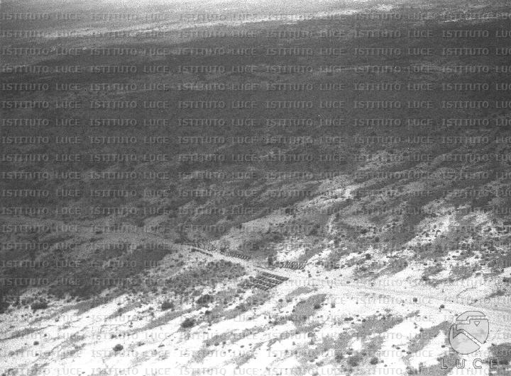 AO/AO116/AO00007770.JPG