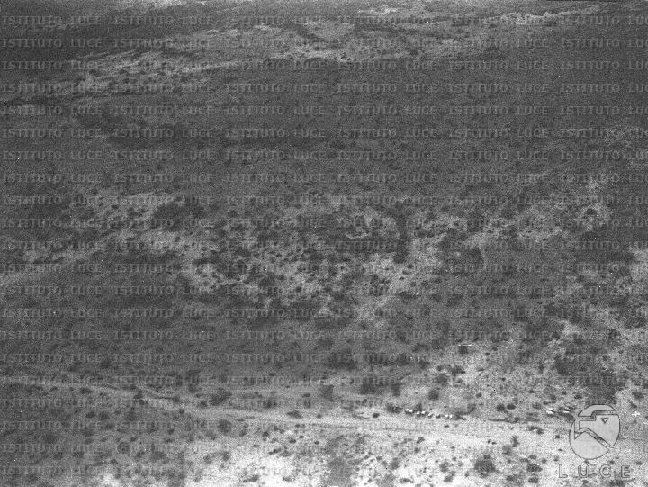 AO/AO116/AO00007776.JPG