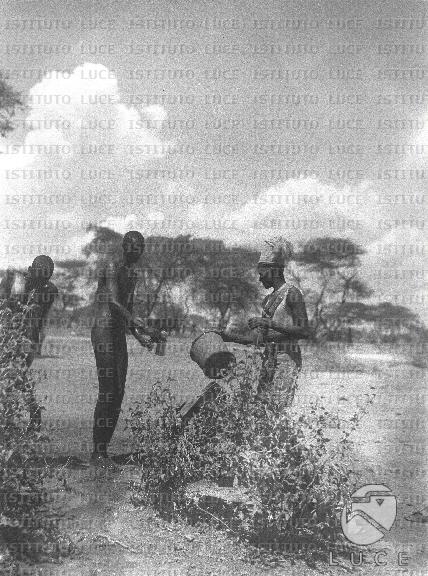 AO/AO116/AO00007798.JPG
