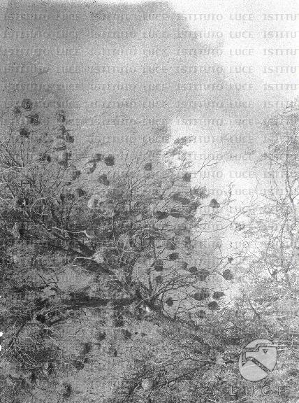 AO/AO118/AO00007895.JPG