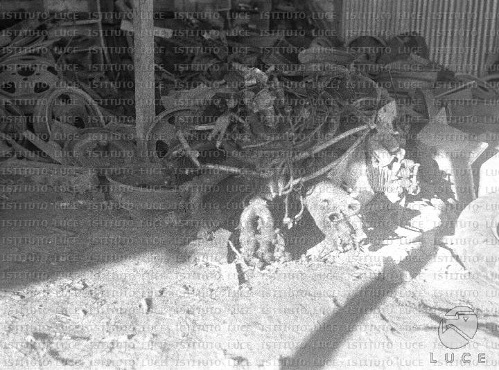 AO/AO118/AO00007912.JPG