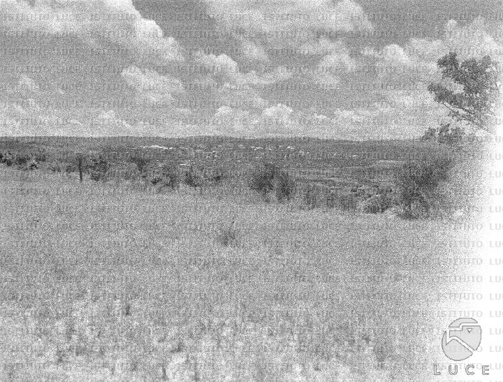 AO/AO118/AO00007941.JPG