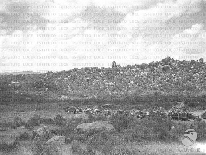 AO/AO119/AO00007967.JPG