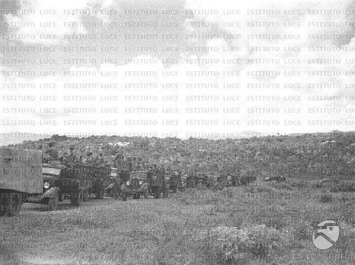 AO/AO119/AO00007970.JPG