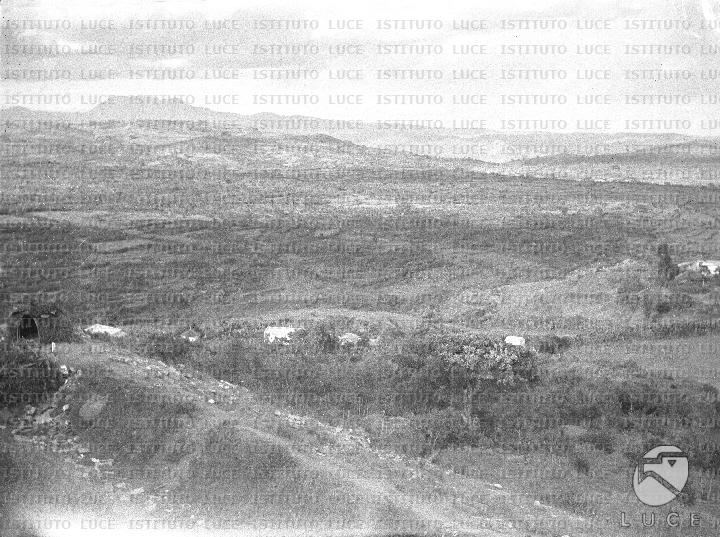 AO/AO119/AO00007971.JPG
