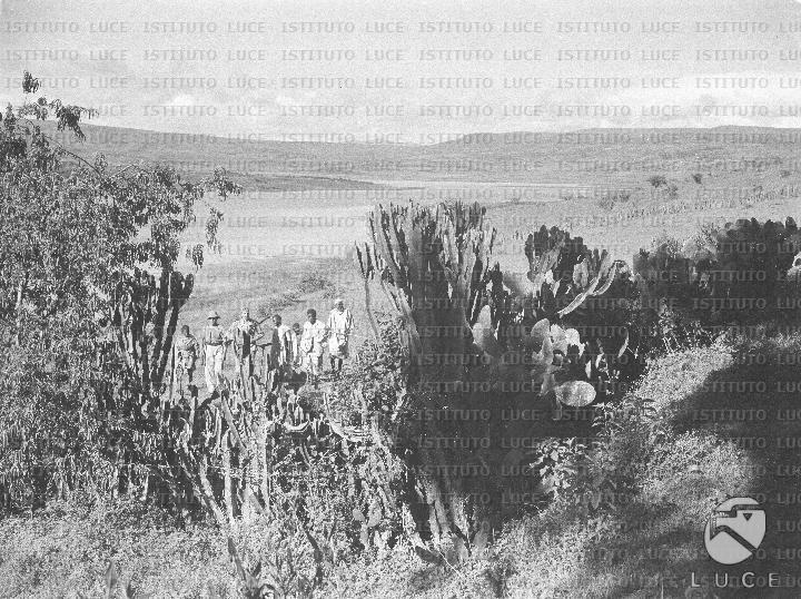 AO/AO121/AO00008157.JPG