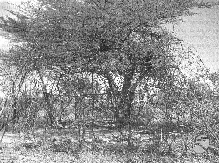 AO/AO122/AO00008182.JPG