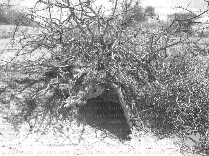 AO/AO122/AO00008185.JPG