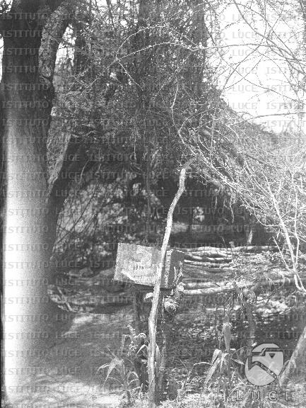 AO/AO122/AO00008186.JPG