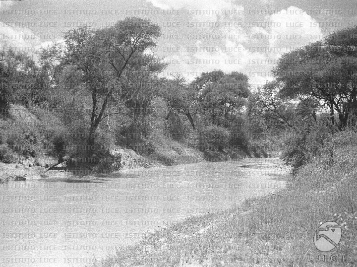 AO/AO122/AO00008188.JPG