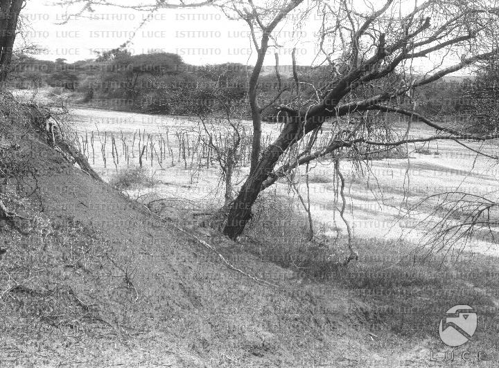 AO/AO122/AO00008202.JPG