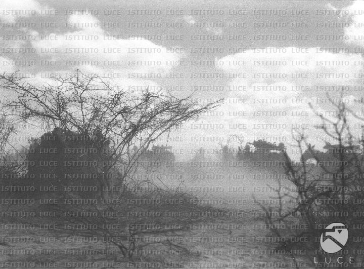 AO/AO122/AO00008230.JPG