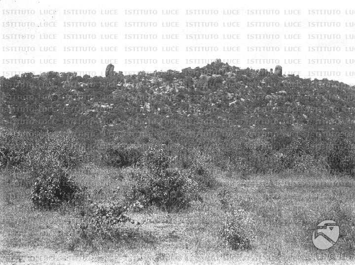 AO/AO123/AO00008303.JPG
