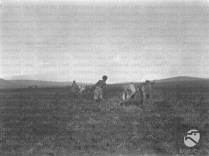 AO/AO124/AO00008308.JPG