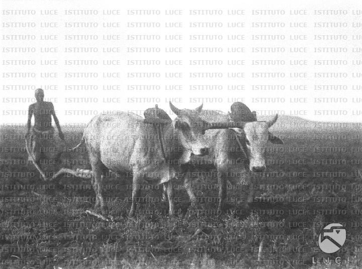 AO/AO124/AO00008309.JPG