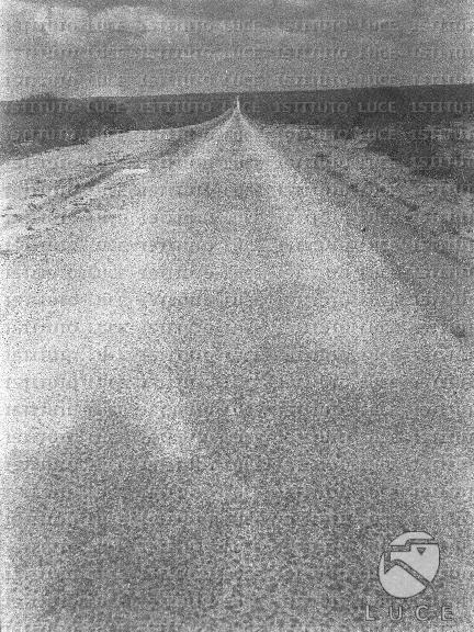 AO/AO124/AO00008331.JPG