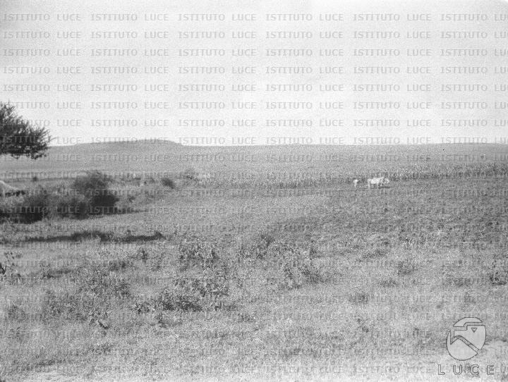 AO/AO125/AO00008376.JPG