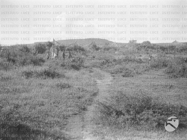 AO/AO125/AO00008379.JPG