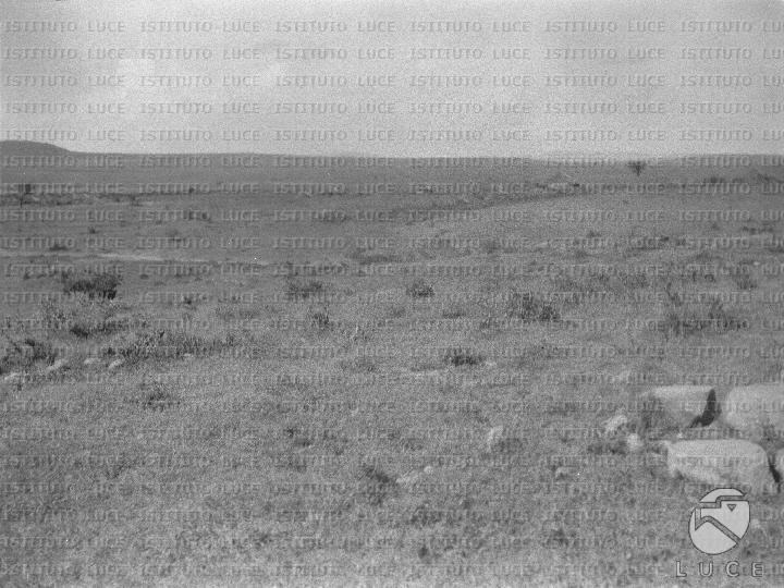 AO/AO125/AO00008380.JPG