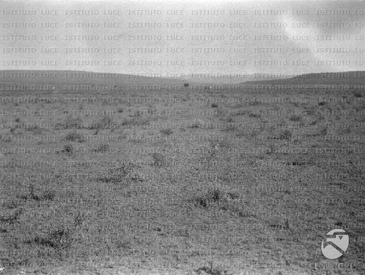 AO/AO125/AO00008381.JPG