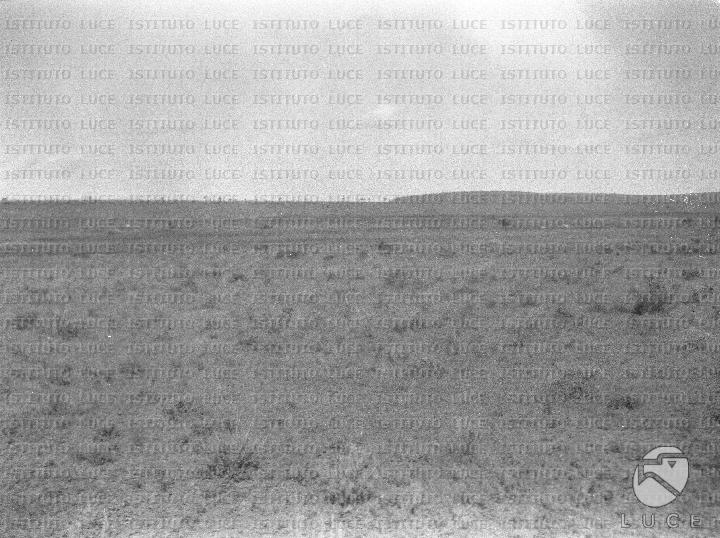 AO/AO125/AO00008383.JPG